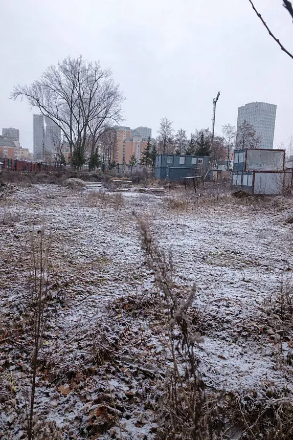 Новая 11 01 2026 г. 36879