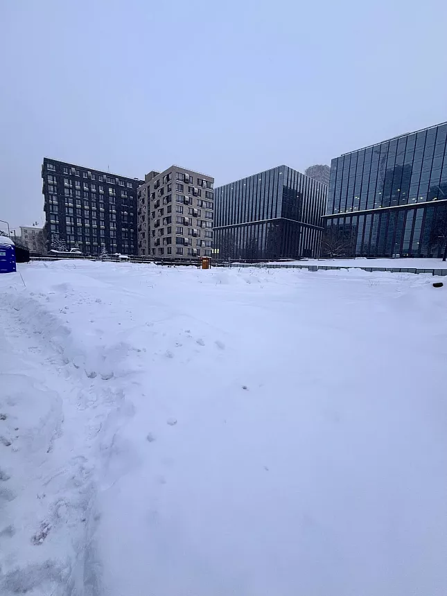 ЛОТ 01 2026 г. 37086
